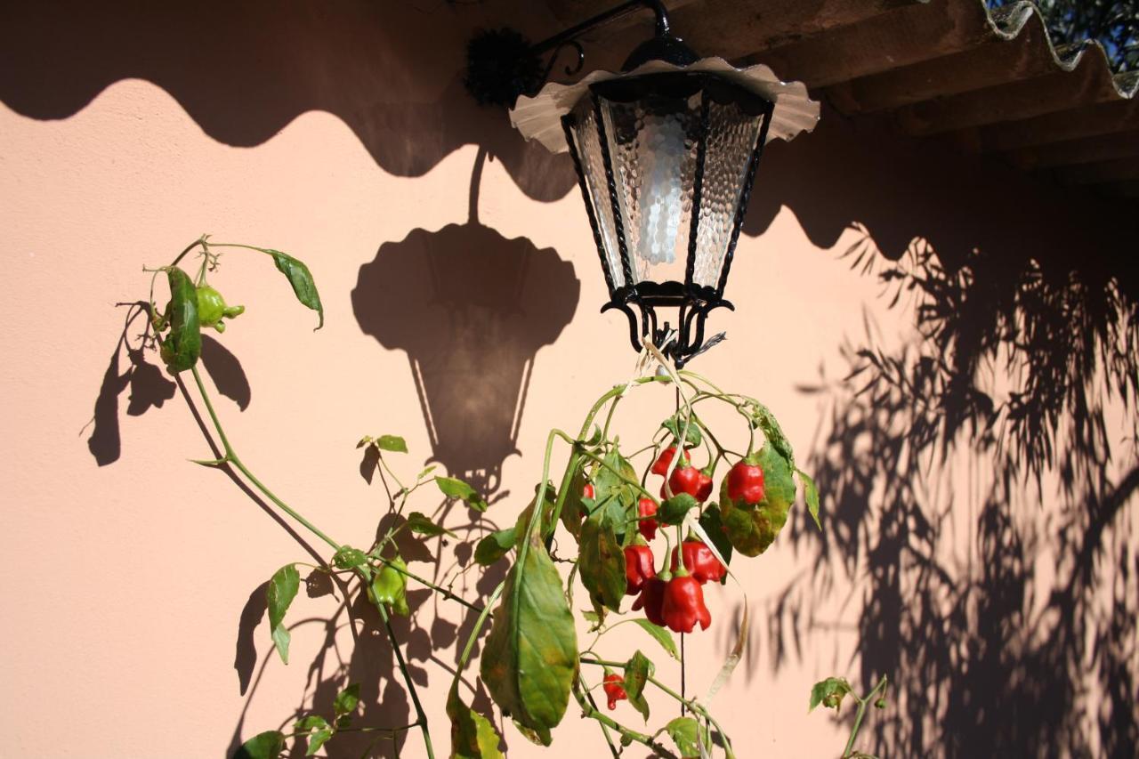 La Casa Di Sara Villa Pula Exteriör bild